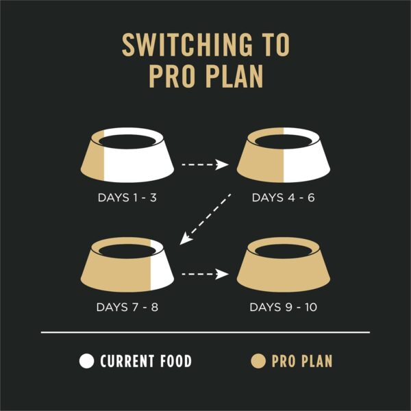 Purina Pro Plan Sensitive Skin and Stomach Dog Food Dry, Adult Salmon & Rice Formula, Digestive Health - 30 lb. Bag - Image 11