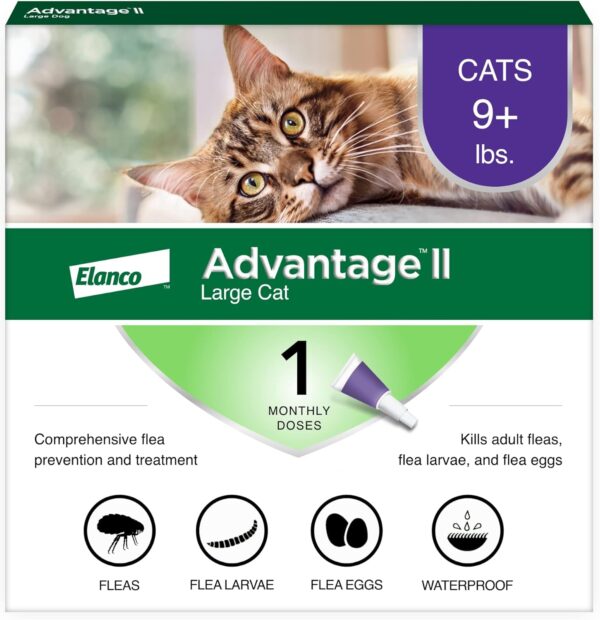 Advantage II Large Cat Vet-Recommended Flea Treatment & Prevention | Cats Over 9 lbs. | 6-Month Supply - Image 10