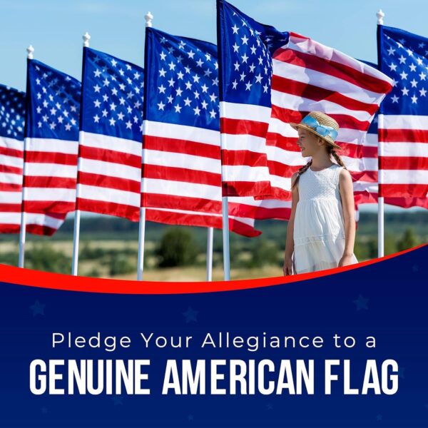 American Flag | American Flags for Outside 3X5 |100% Made in USA Flag - Premium US Flag 3X5 Heavy Duty Outdoor with Embroidered Stars and Sewn Stripes. - Image 6