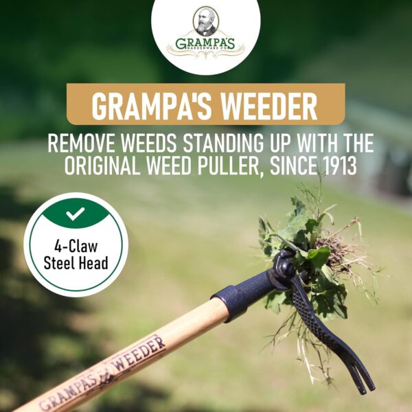 Grampa's Weeder - The Original Stand Up Weed Puller Tool with Long Handle - Made with Real Bamboo & 4-Claw Steel Head Design - Easily Remove Weeds Without Bending, Pulling, or Kneeling. - Image 2